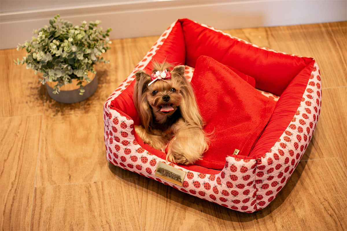 Cama Quadrada para Cachorro ou Gato Luvén- Vermelho Joaninha