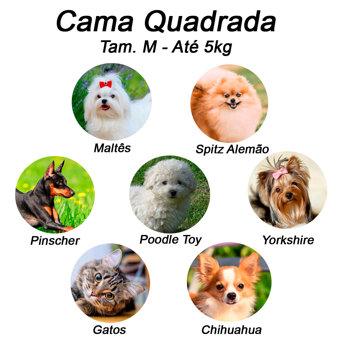 Cama para Cachorro Quadrada Impermeavel Luvén- Azul Pets Tamanho M