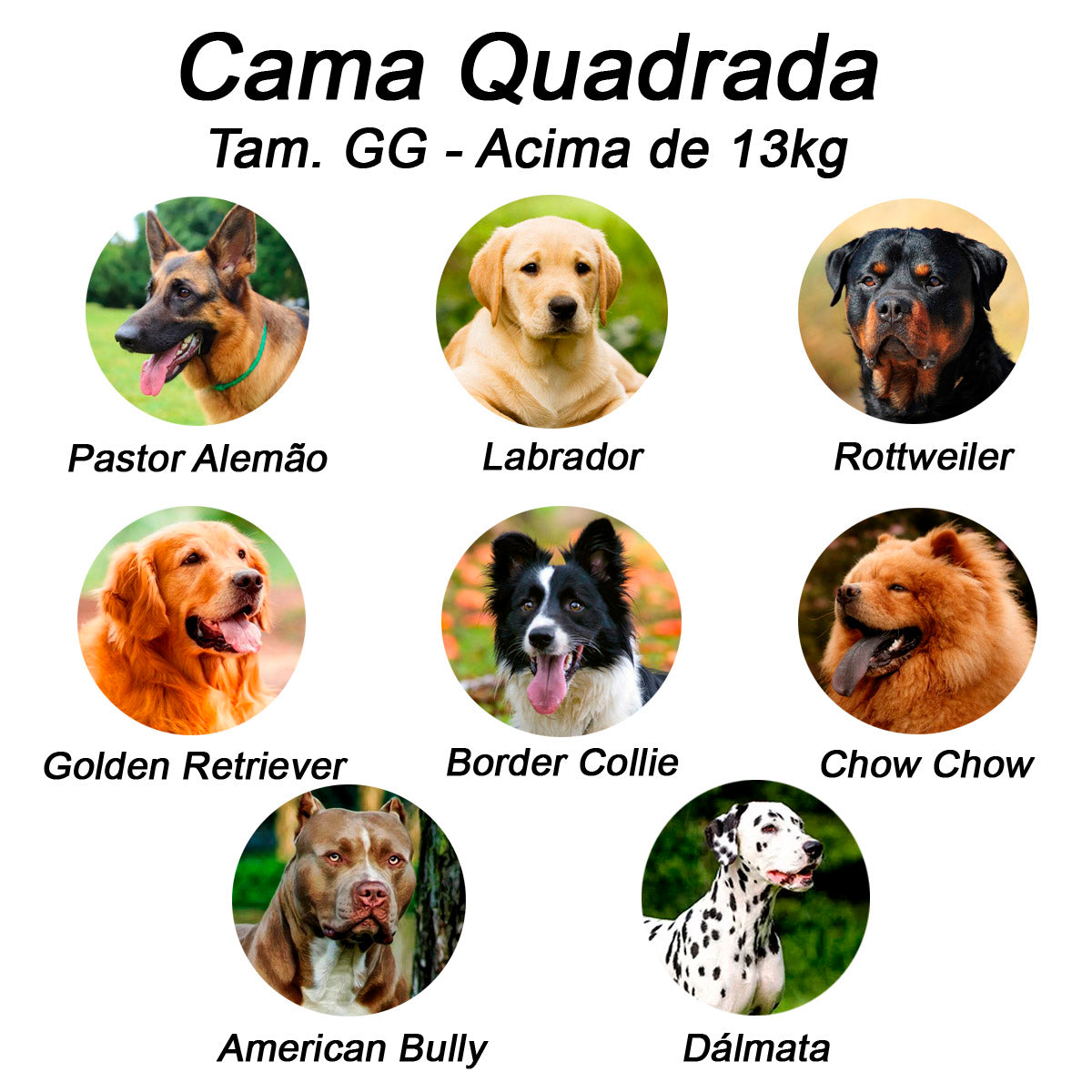 Cama Quadrada para Cachorro ou Gato Luvén- Luxo Rosa Geométrico