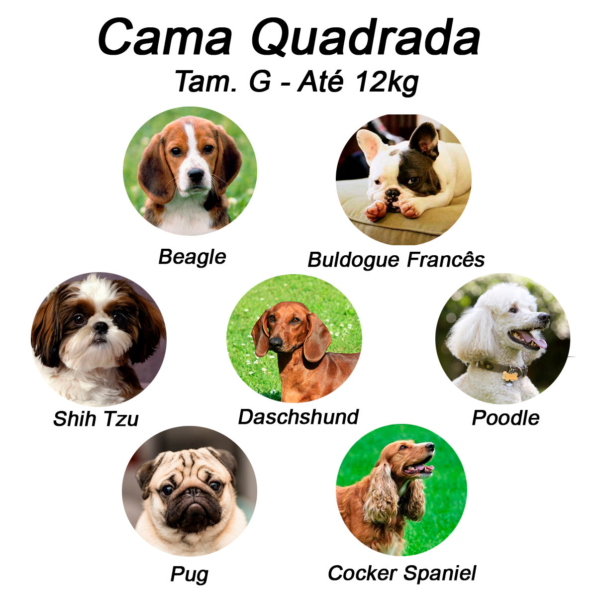 Cama Quadrada para Cachorro ou Gato Luppet Marinho Geometrico Tamanho:G